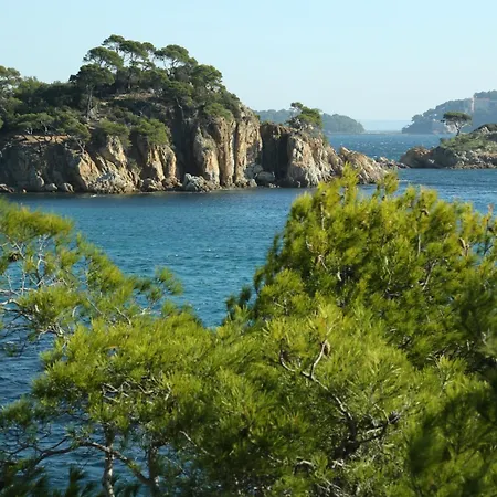 Location Corsica Lejlighed Cavalaire-sur-Mer