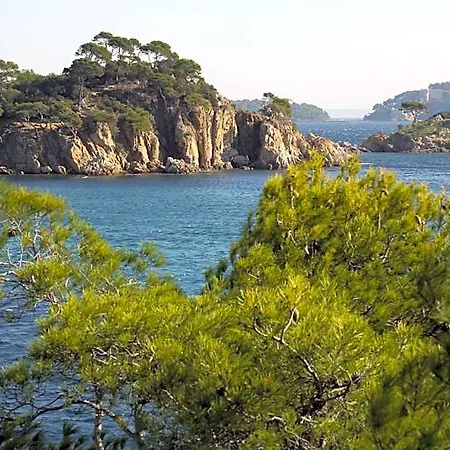 شقة Location Corsica *