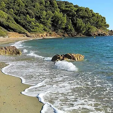 Location Corsica